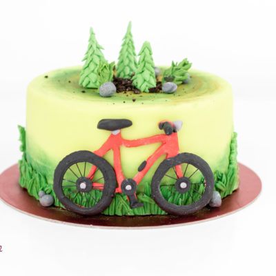 Tort bicicletă